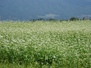 e0143298_1771183.jpg