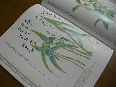 星野富弘さん 2 英語日記 九州すずらん