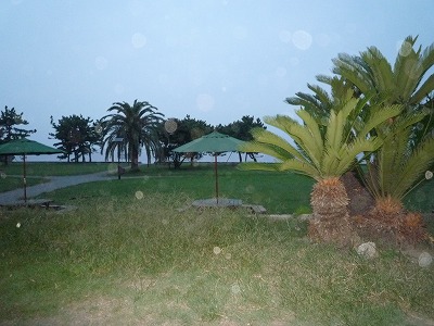 d0063615_07195.jpg