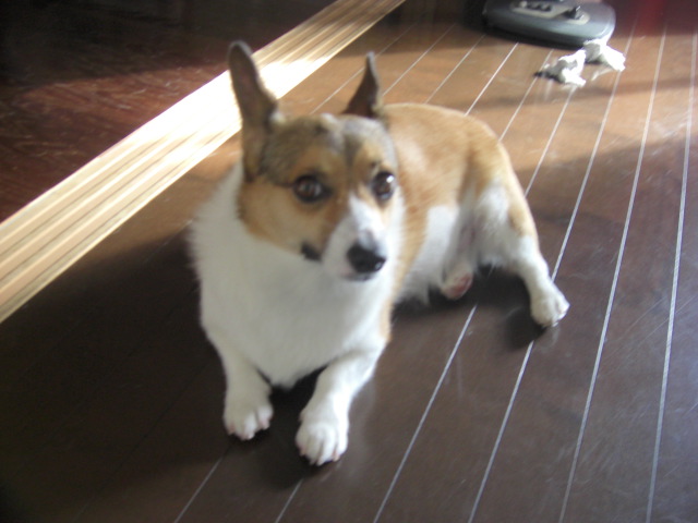 f0182121_1520644.jpg