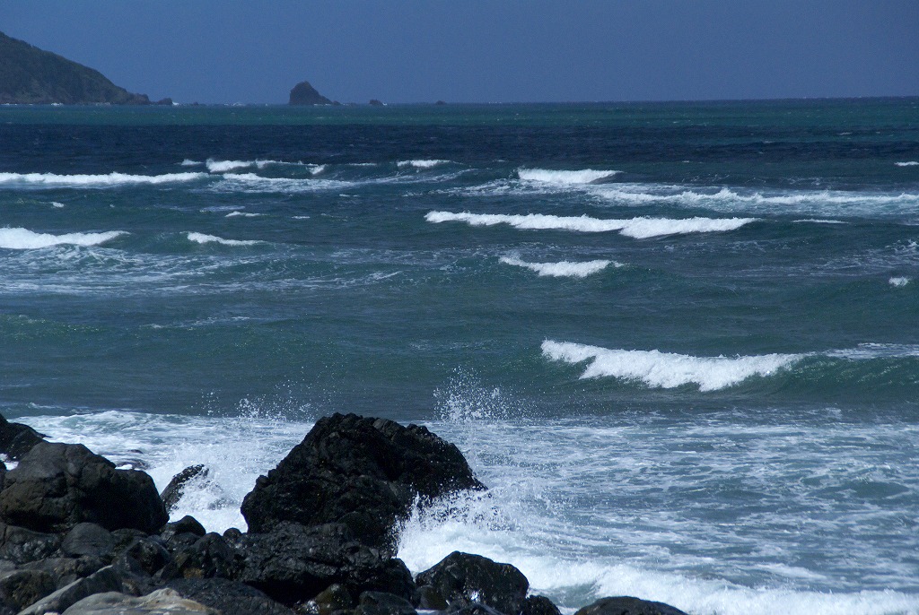 台風一過・・・_d0053930_1813383.jpg