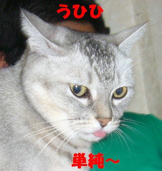 旦那のお気に入り_f0002743_12475867.jpg