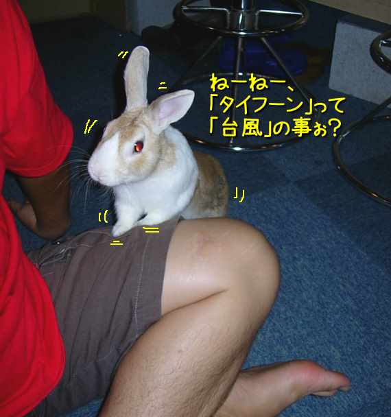 a0095546_01246.jpg