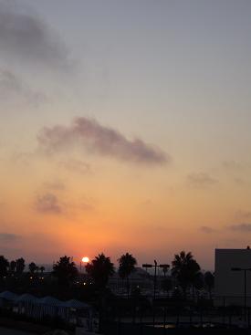 f0041447_1621849.jpg