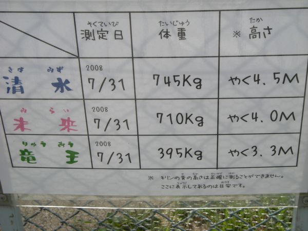 b0024758_0422860.jpg