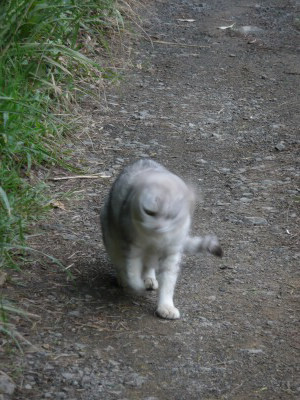 薮蚊の猛攻と台風の相関性_f0055264_21401683.jpg