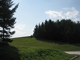 c0148270_7545985.jpg