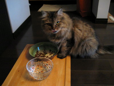 f0183274_23344756.jpg