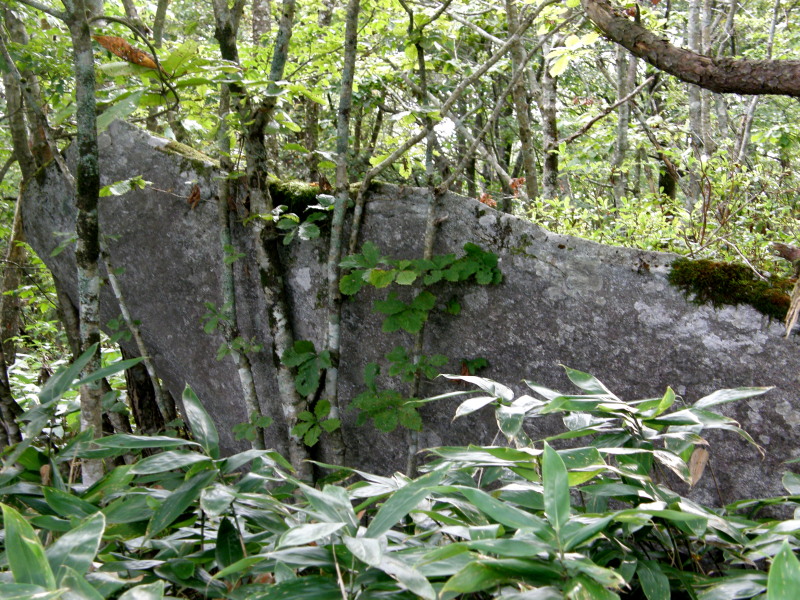 遠野不思議　第五百八十五話「桧沢山(820m)」_f0075075_17153022.jpg