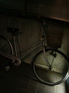 自転車で_a0075684_2175933.jpg