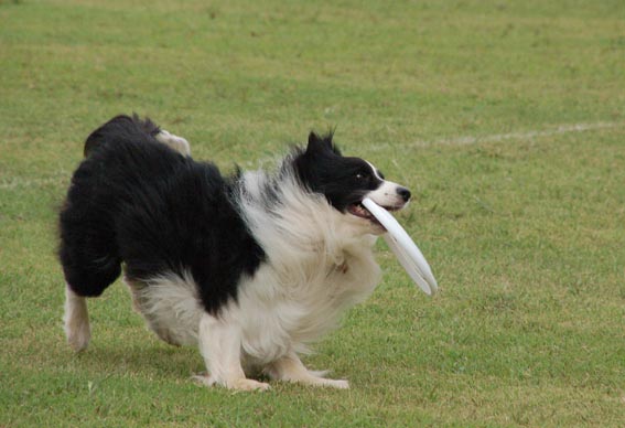 f0094391_011618.jpg