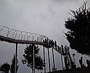 c0135795_125758.jpg