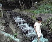 c0135795_1262361.jpg