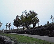 c0135795_1264789.jpg