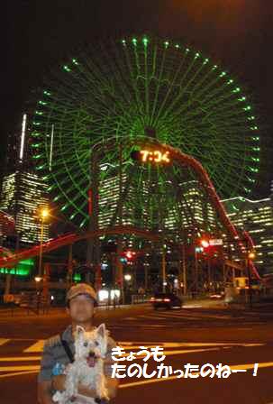 e0138005_0323430.jpg
