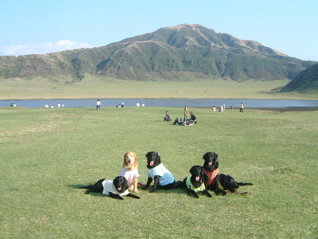 c0017311_8583624.jpg