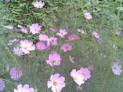 TRIP_e0138812_20223785.jpg