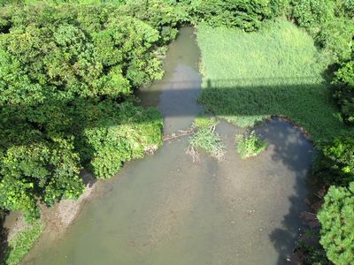 c0166720_2333976.jpg