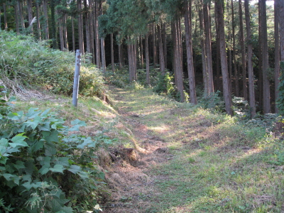 b0147224_23235945.jpg