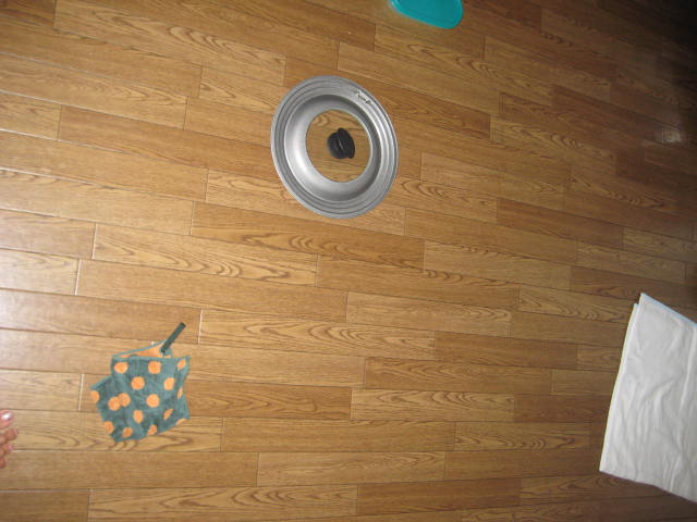 d0064329_1524131.jpg