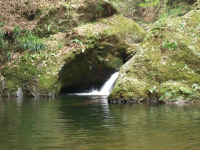 c0119142_22583175.jpg