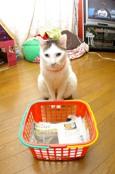 絶対、ありえない!と思っていたら・・・_a0028451_8293076.jpg