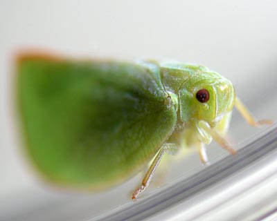 e0035757_1830337.jpg