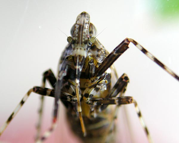 e0035757_18345188.jpg