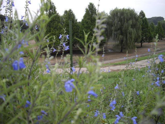 d0116059_21825.jpg