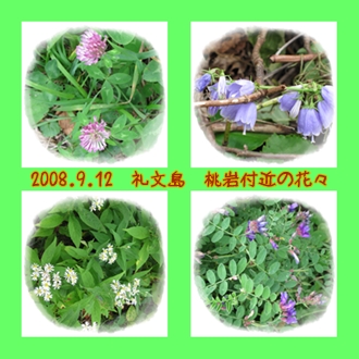a0052666_18391881.jpg