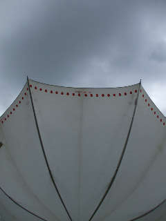 a0105566_16204352.jpg