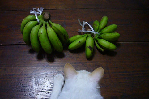 bananas._c0153966_22405748.jpg
