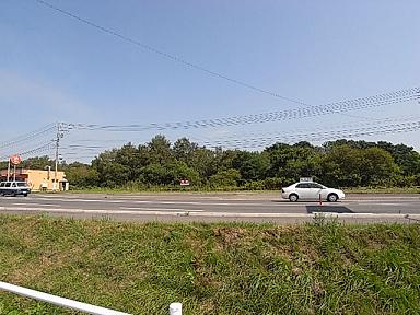 国道234号線沿い!マックスバリュー前!!_c0126874_22233182.jpg
