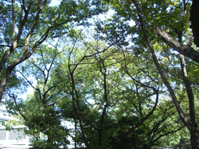 c0149475_0571776.gif