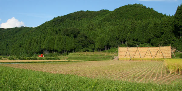 2008-09-19≪奥能登・秋の田園風景≫_e0136475_20512586.jpg