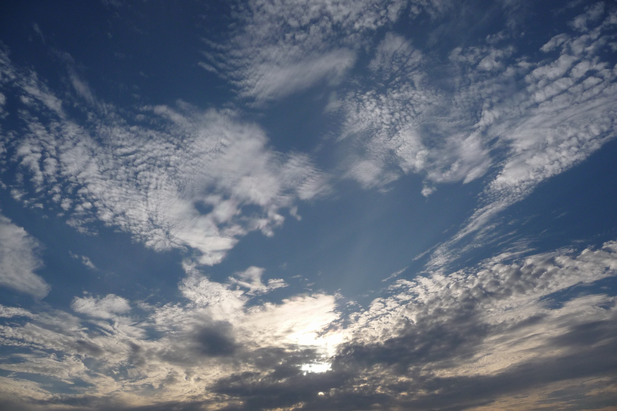 e0071178_419146.jpg