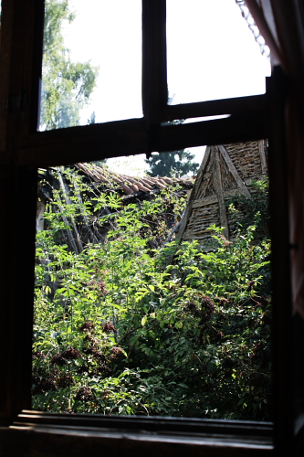 f0093592_05154.jpg