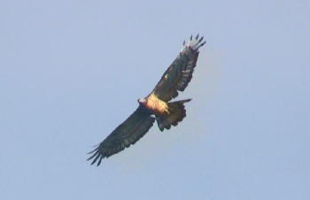 c0059002_2275650.jpg