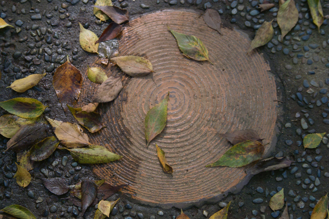 20 Sep 08 有栖川宮記念公園にて_b0137311_2173223.jpg