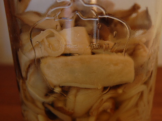 e0090926_1037387.jpg