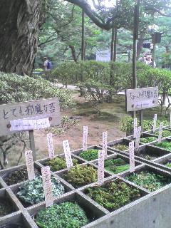 e0113528_2110792.jpg