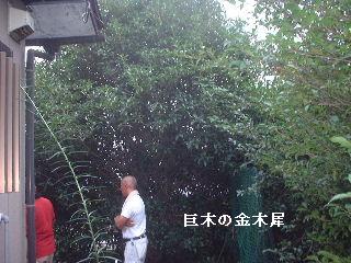 多忙な1日_f0031037_19102867.jpg