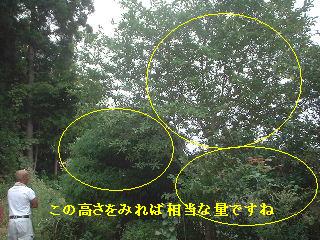多忙な1日_f0031037_19105127.jpg