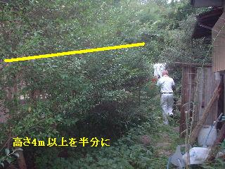 多忙な1日_f0031037_19122245.jpg