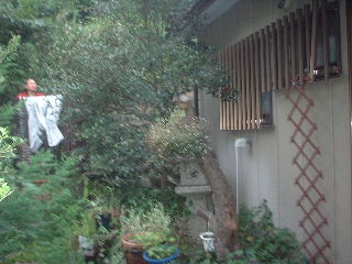 多忙な1日_f0031037_19123335.jpg