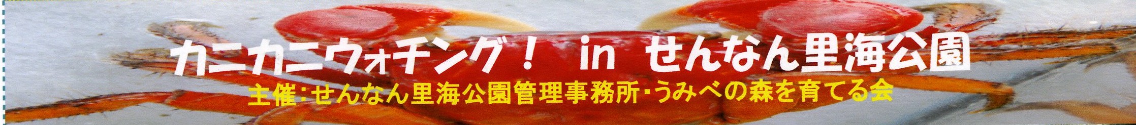 c0108460_2152484.jpg