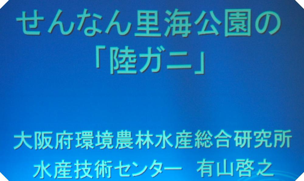 c0108460_2156313.jpg