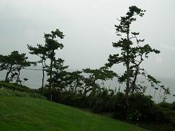 f0139963_77557.jpg