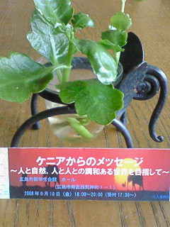 f0180166_20304345.jpg