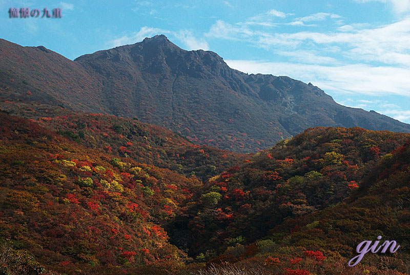 f0173067_11274137.jpg